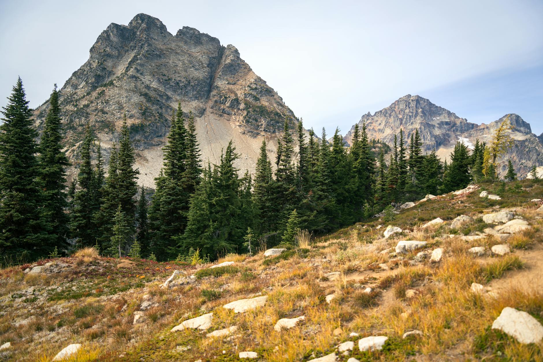 Góry North Cascades jesienią z iglastym lasem na pierwszym planie