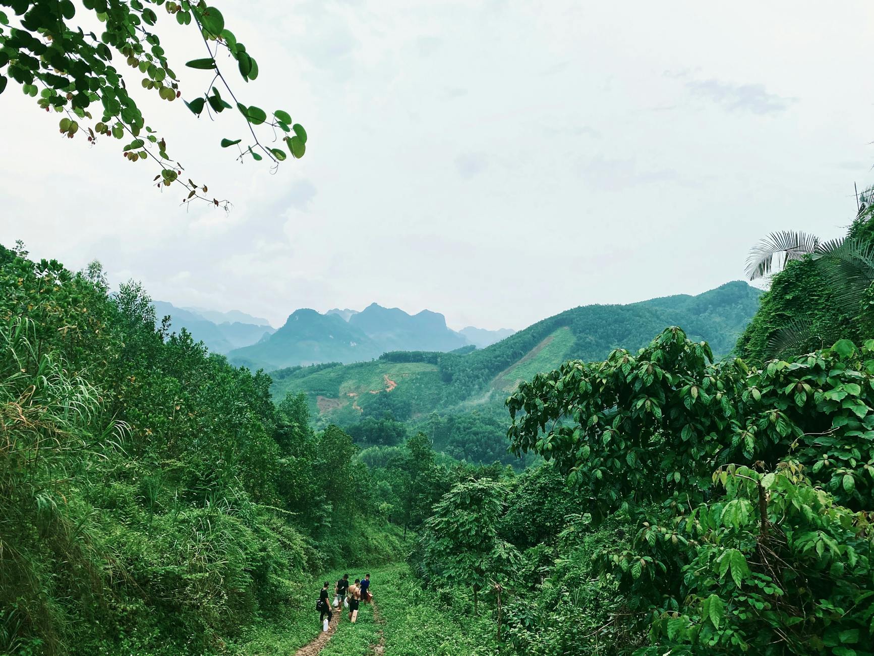Grupa trekkerów w zielonych górach na szlaku do Ciudad Perdida